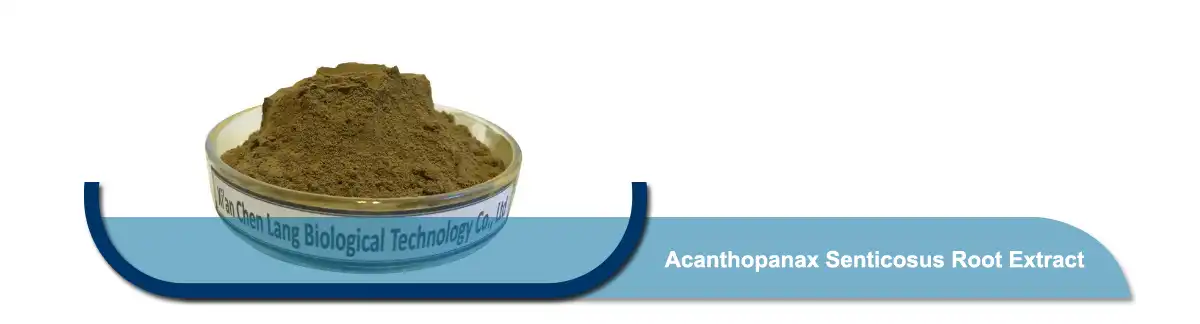 Acanthopanax Senticosus Root .jpg